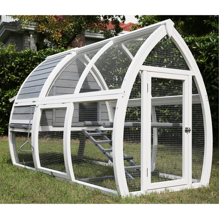 Pets Imperial® Chicken Coops Chicken Coop with Chicken Run For Up To 5